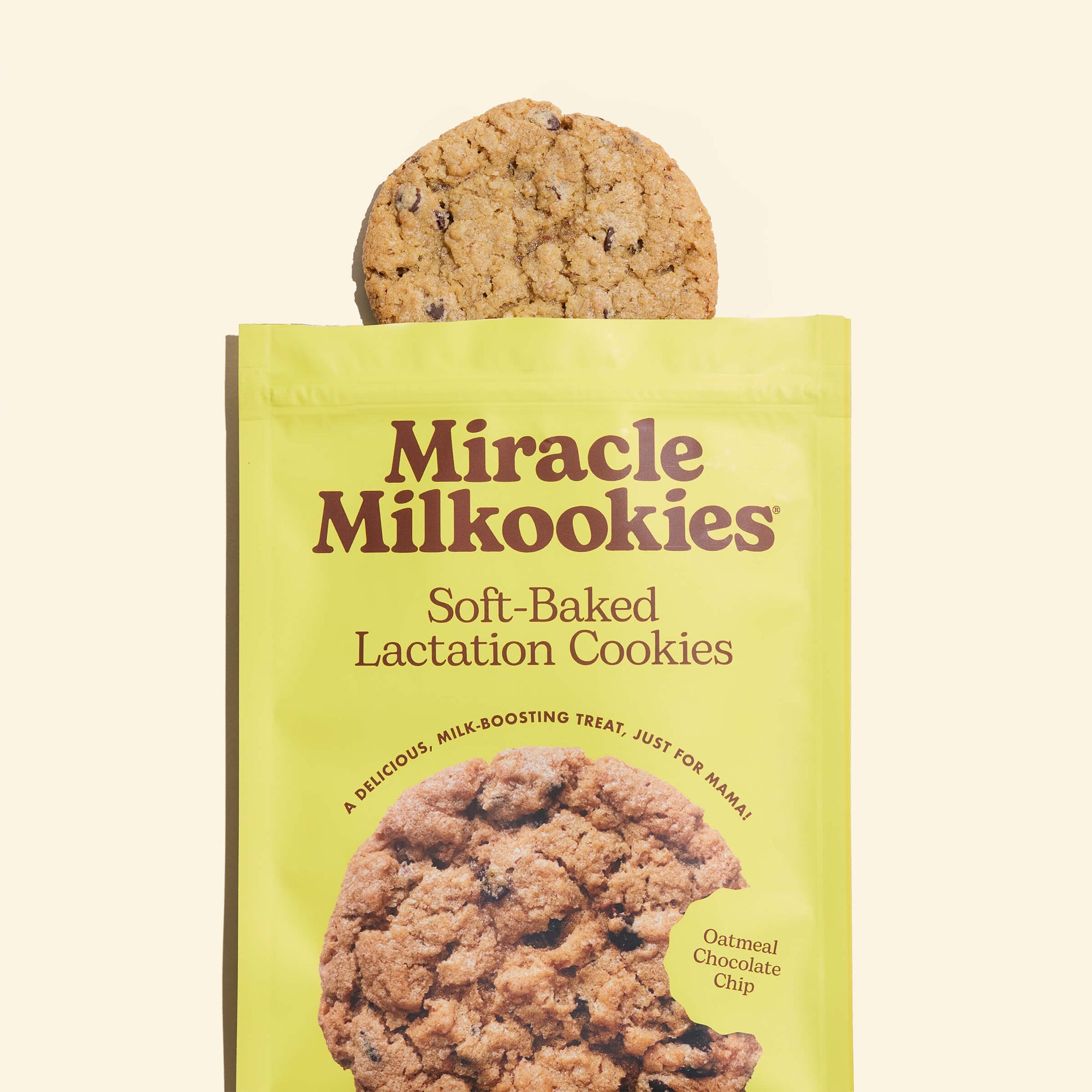 Oatmeal Chocolate Chip Lactation Kookies